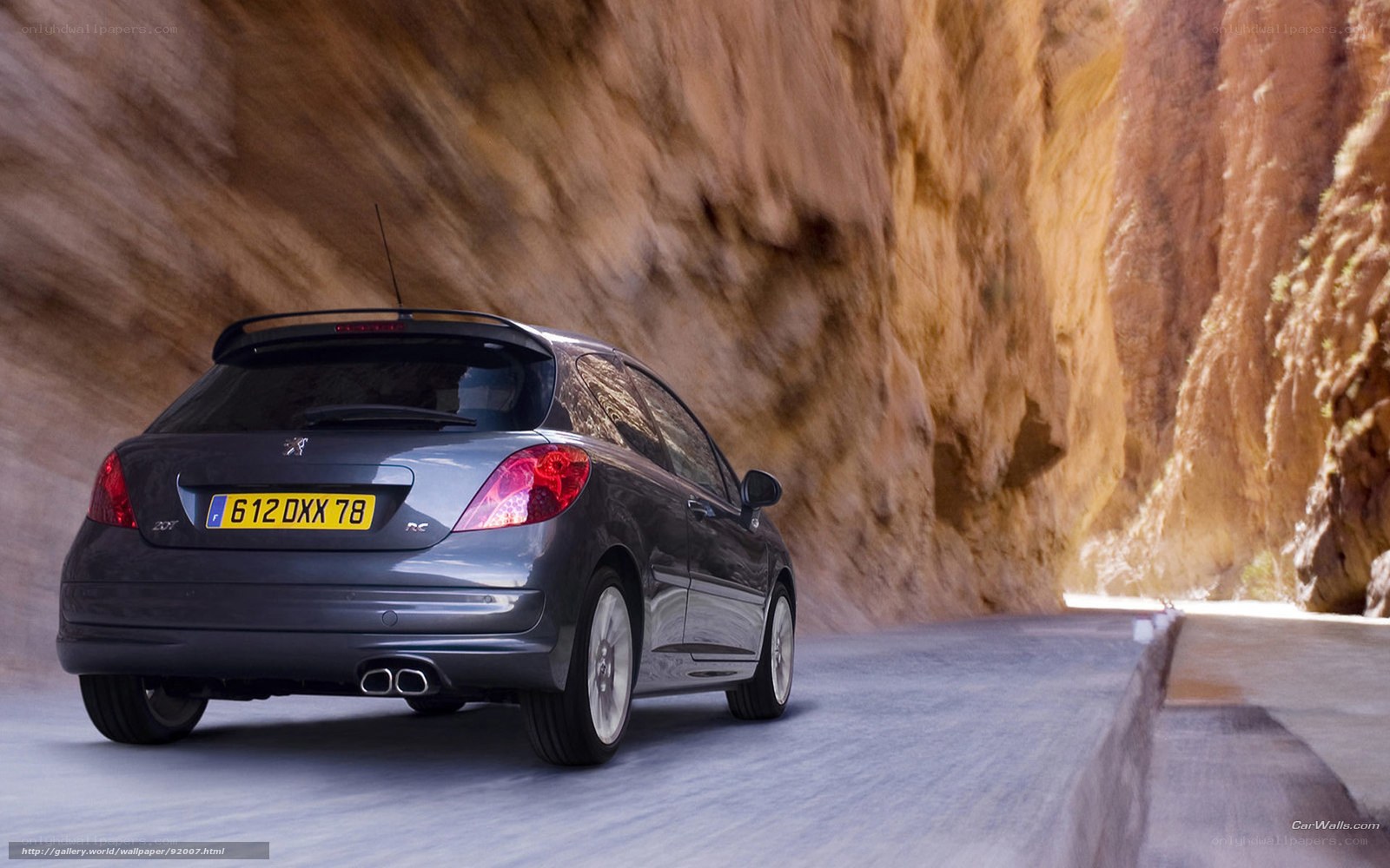 Peugeot 207 driving through canyon