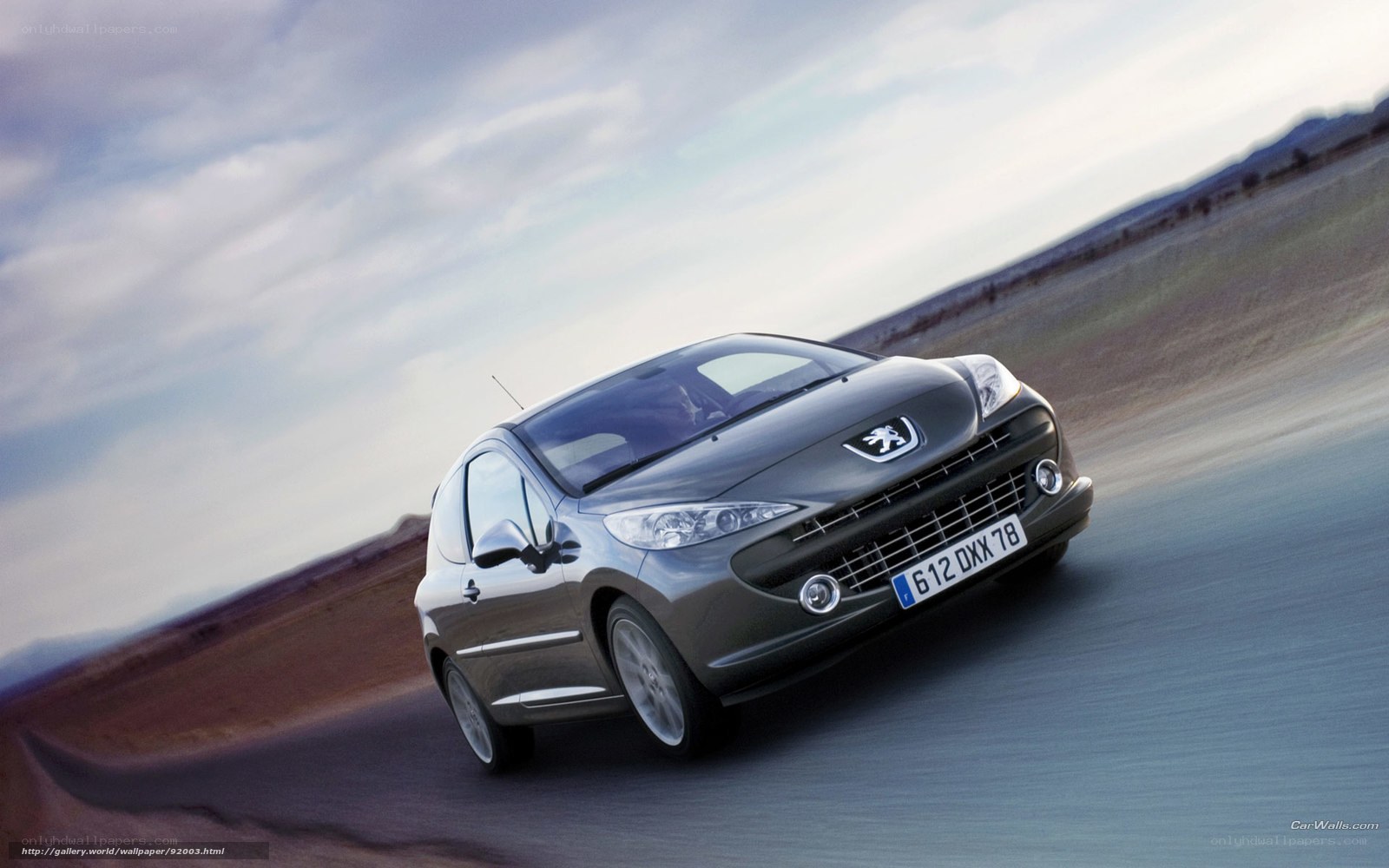Peugeot 207 in motion