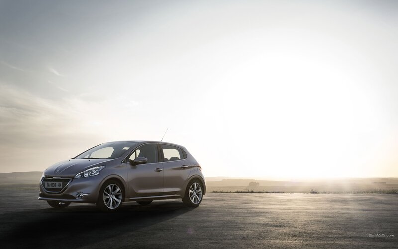 Peugeot 208 in open field