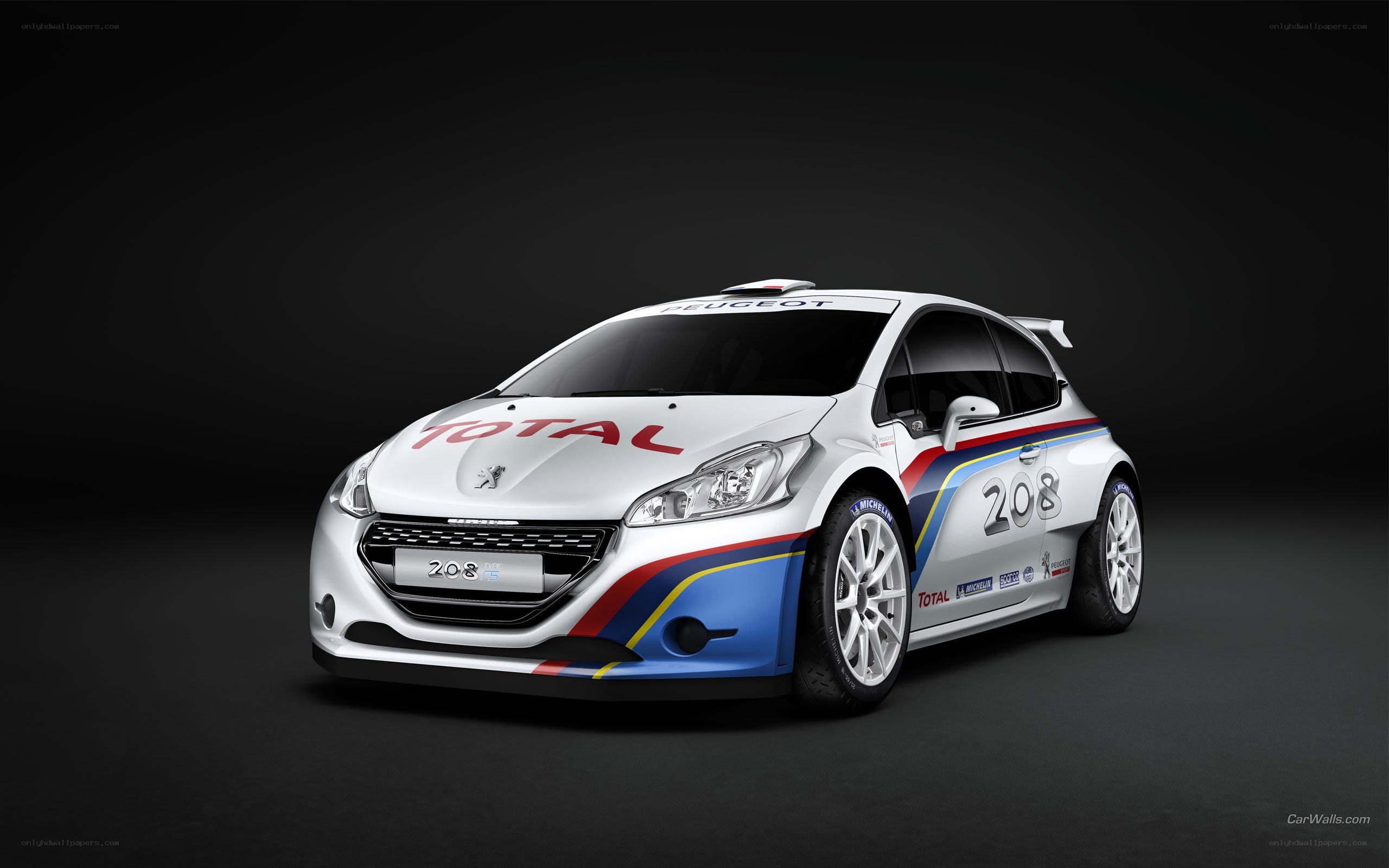 Peugeot 208 rally car