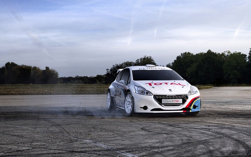 Peugeot 208 T16 rally car