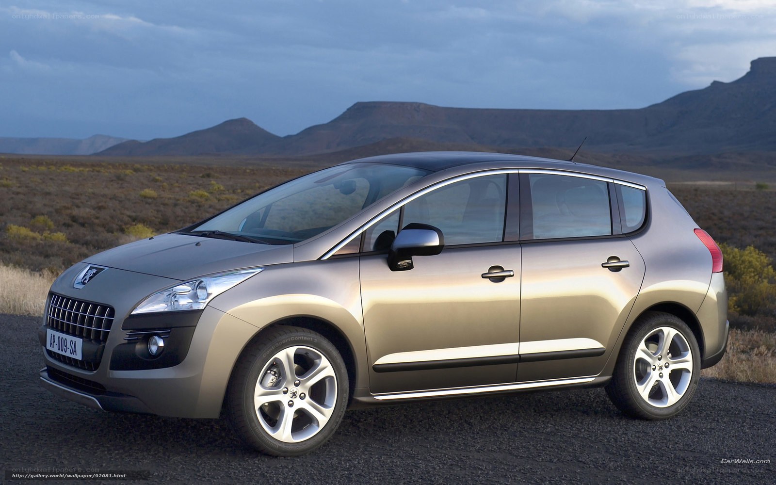 Peugeot 3008 in desert landscape