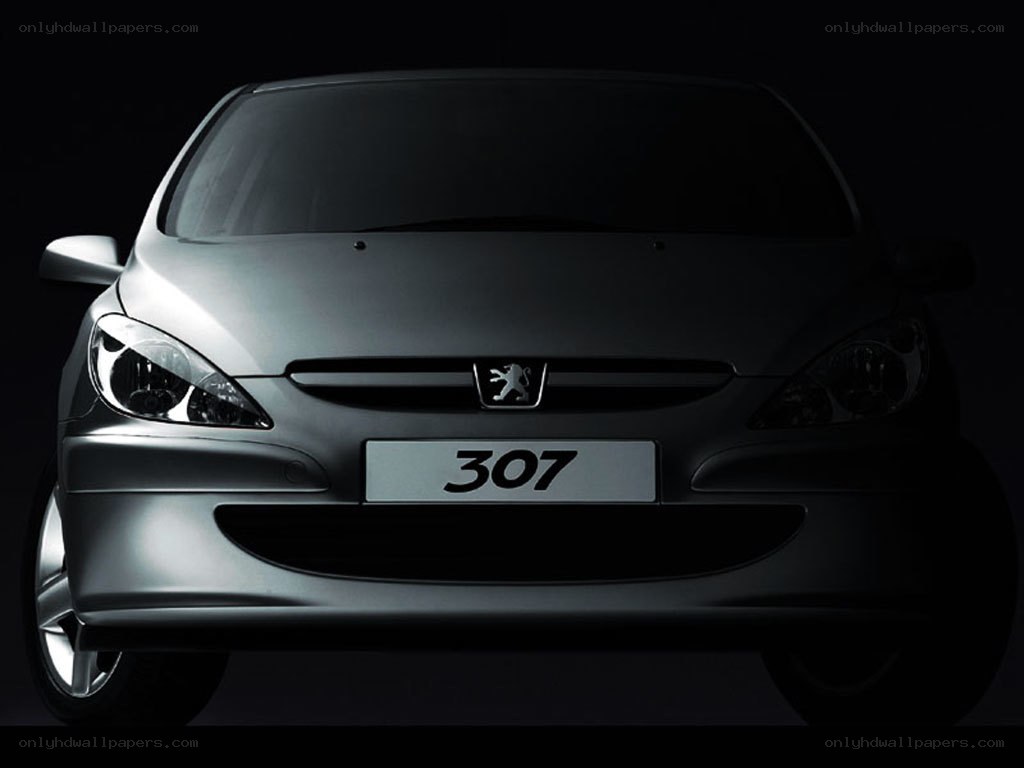 Peugeot 307 front view