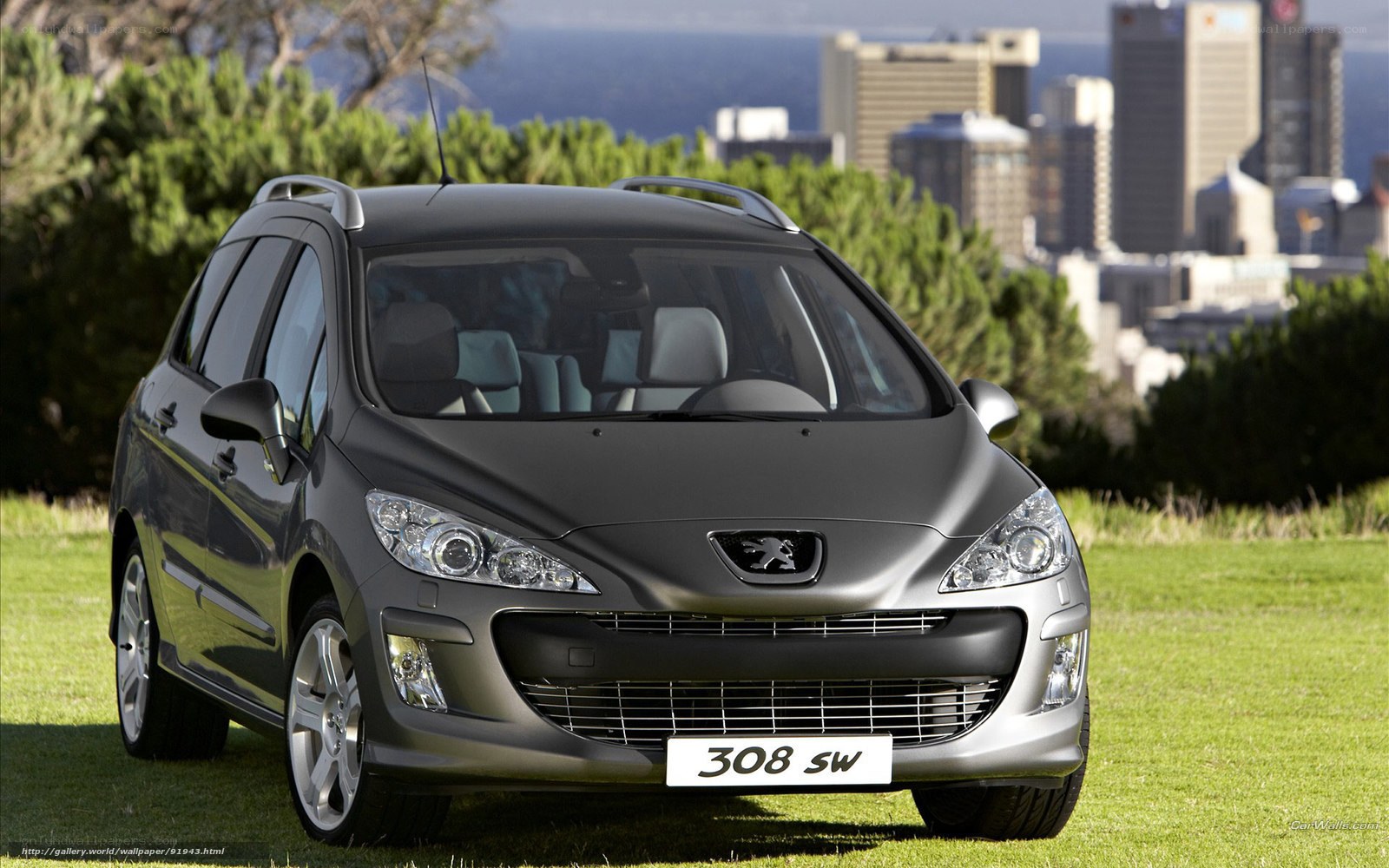 Peugeot 308 SW on a grassy hill