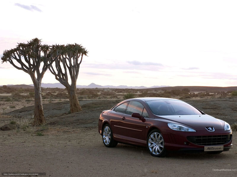 Peugeot 407 in desert landscape