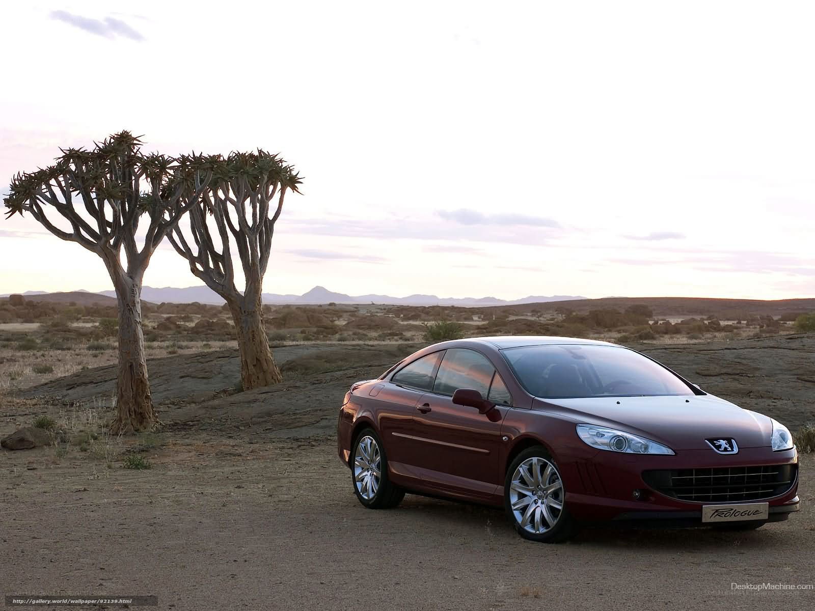 Peugeot 407 in desert landscape