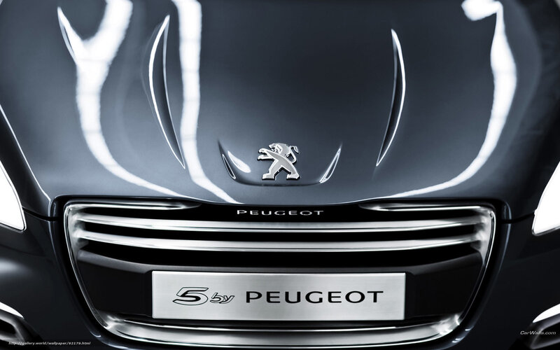 Peugeot 5 by Peugeot front grille