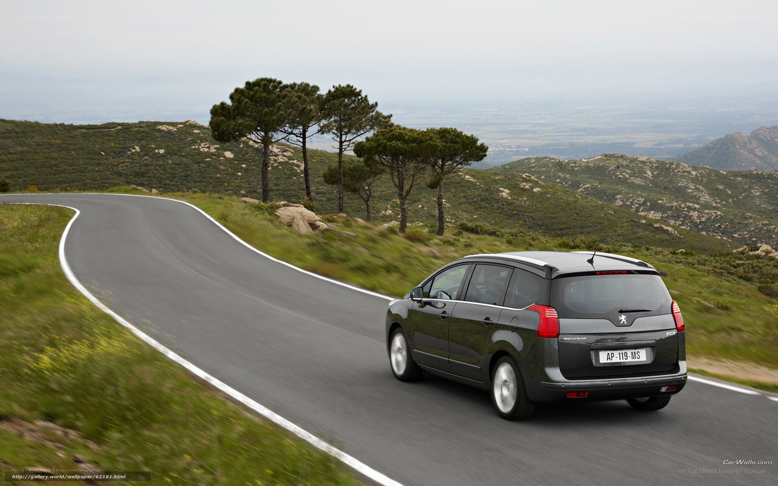 Peugeot 5008 on winding road