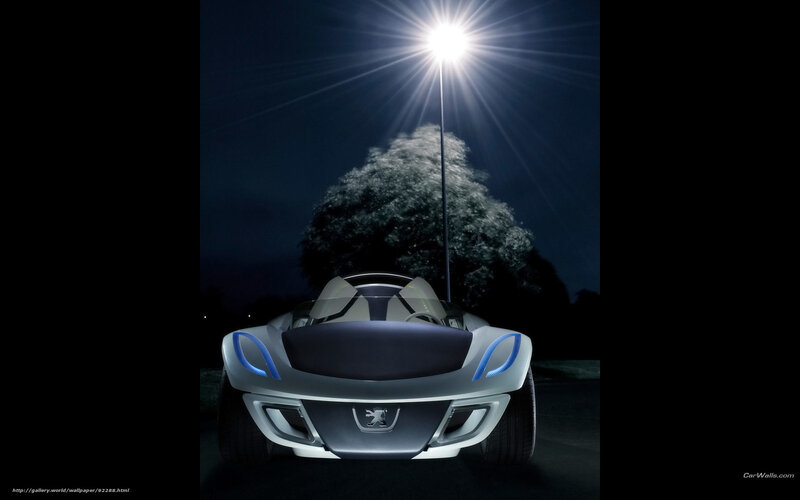 Peugeot Concept Car — Black, Dramatic, Night, Photograph