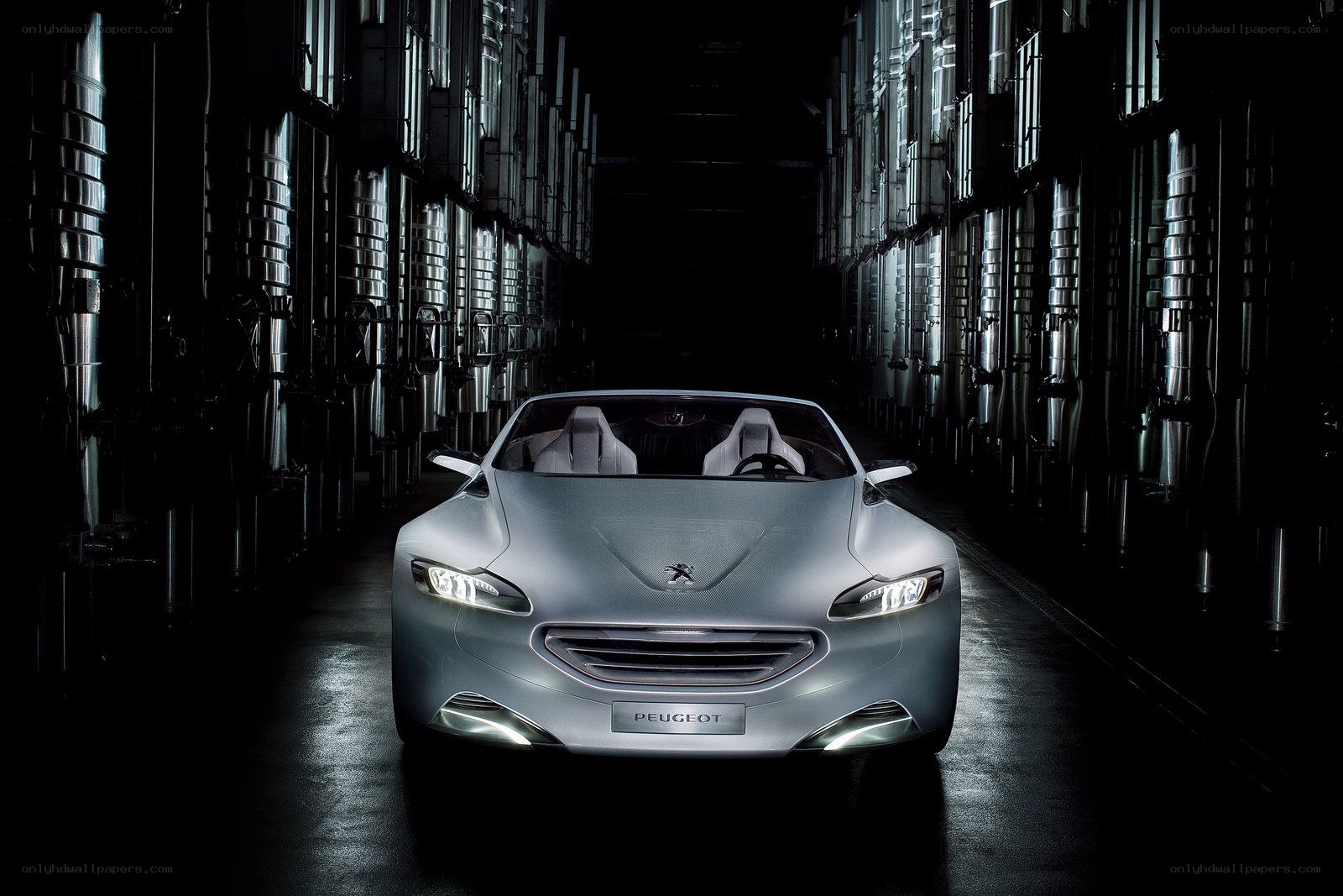 Peugeot concept car in winery