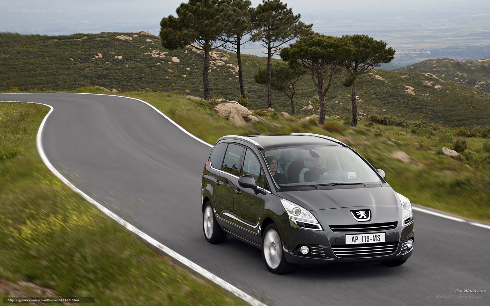 Peugeot driving on a winding road