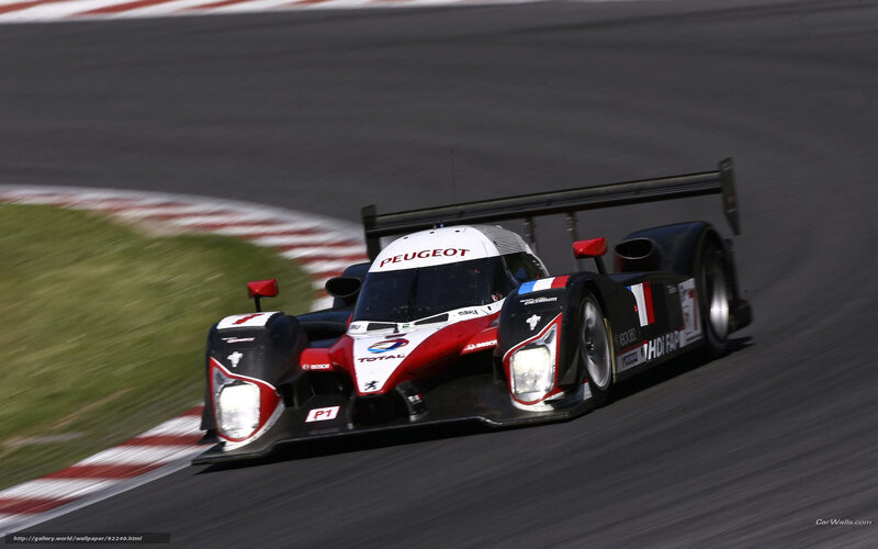 Peugeot Race Car — Black, Dynamic