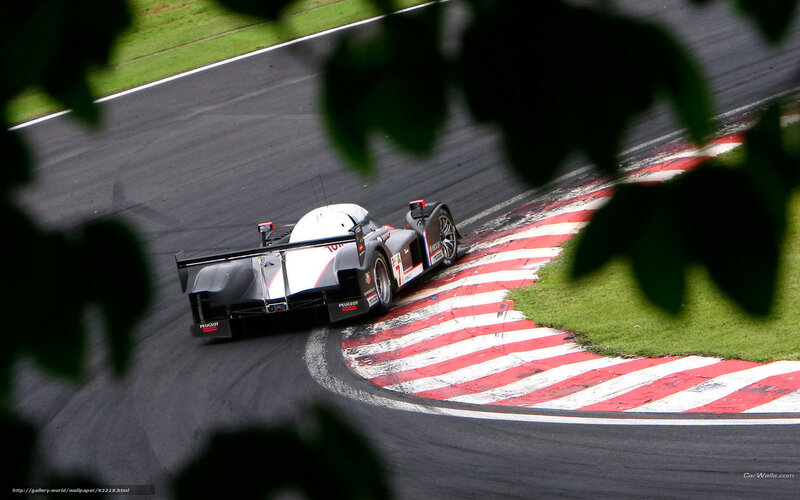 Peugeot Race Car — Black