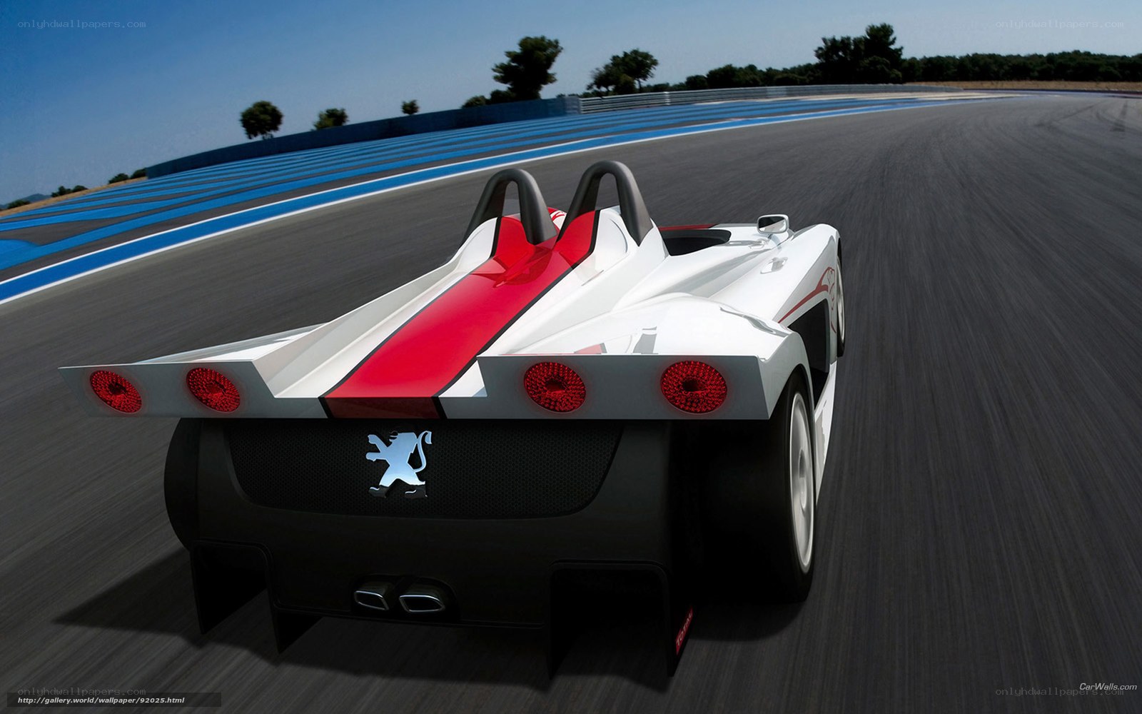 Peugeot race car on track