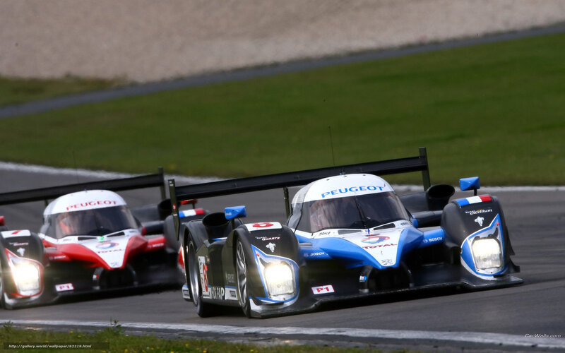 Peugeot Racing Cars — Blue