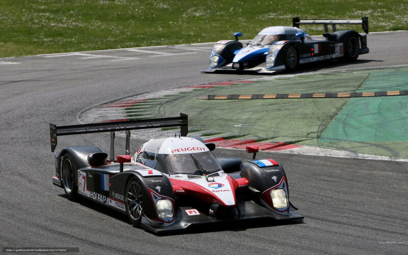 Peugeot racing cars on track
