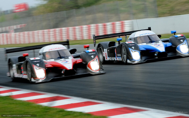 Peugeot Racing Cars