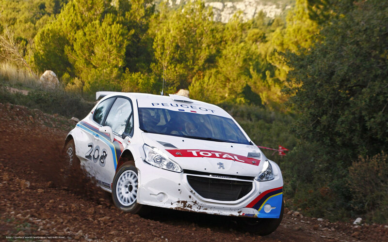 Peugeot rally car on dirt road