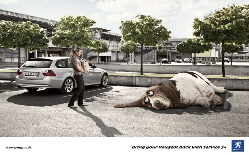 Peugeot service ad with dog