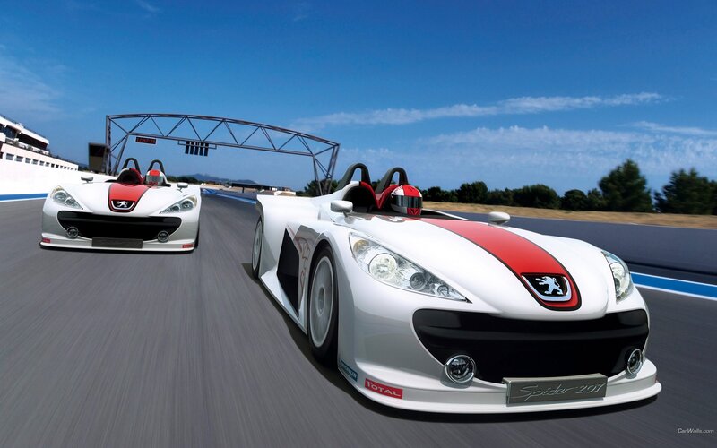 Peugeot Spider 207 on a racetrack