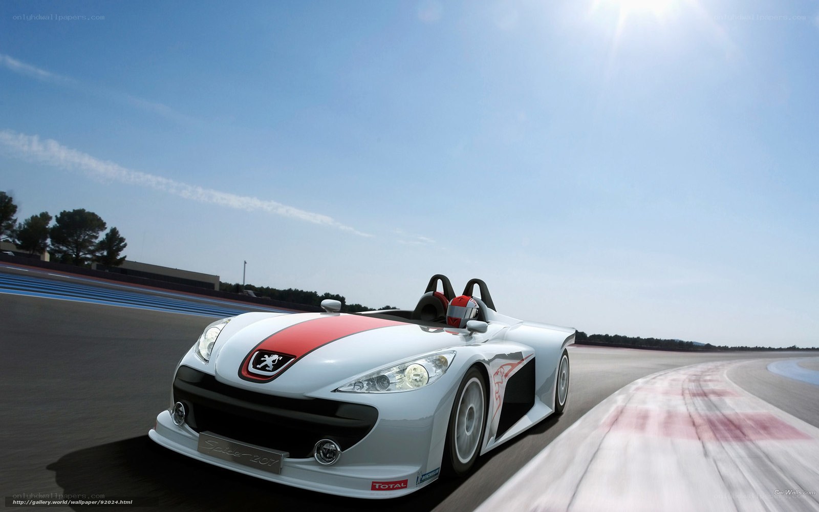 Peugeot Spider 207 on a racetrack
