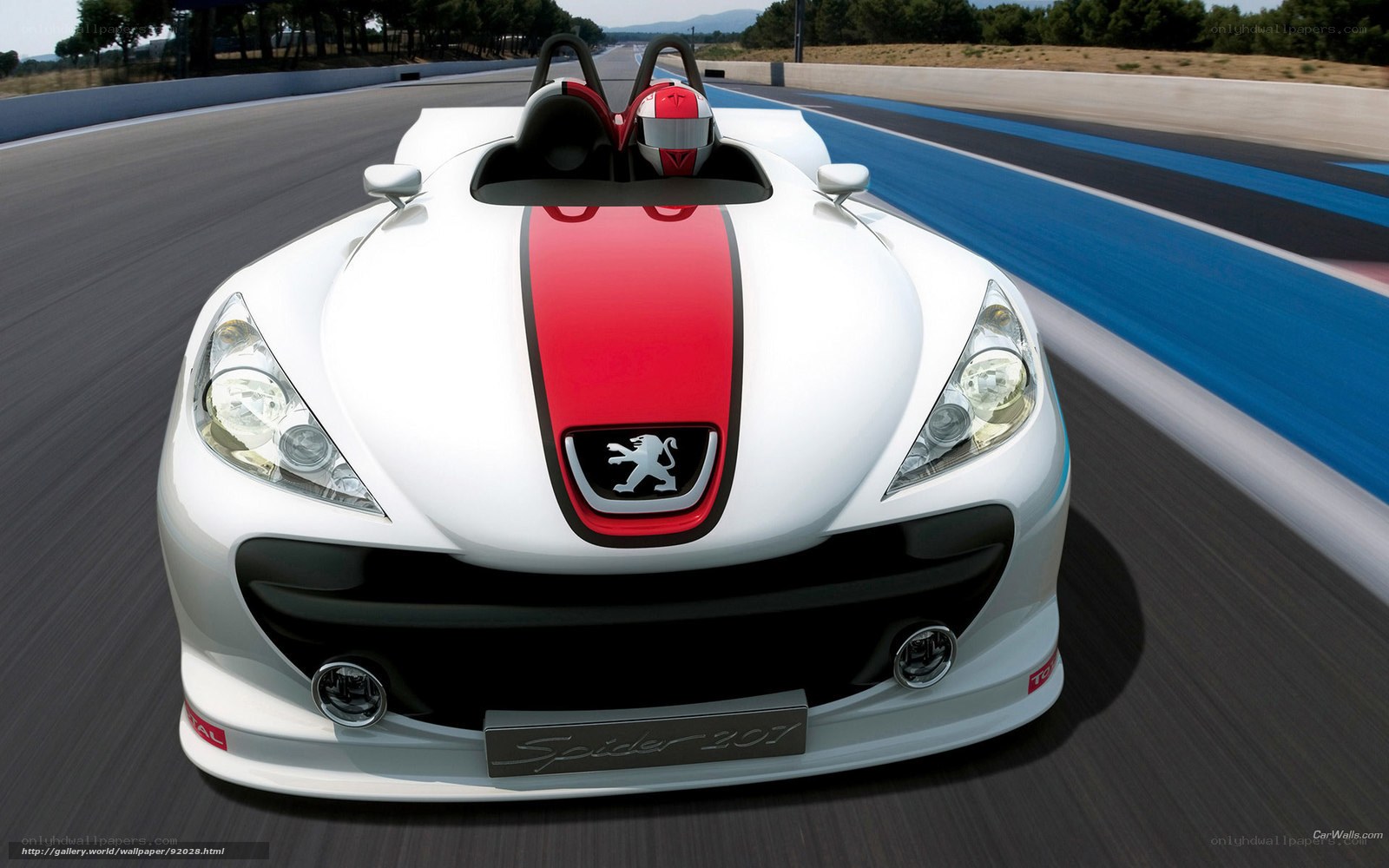 Peugeot Spider 207 on racetrack