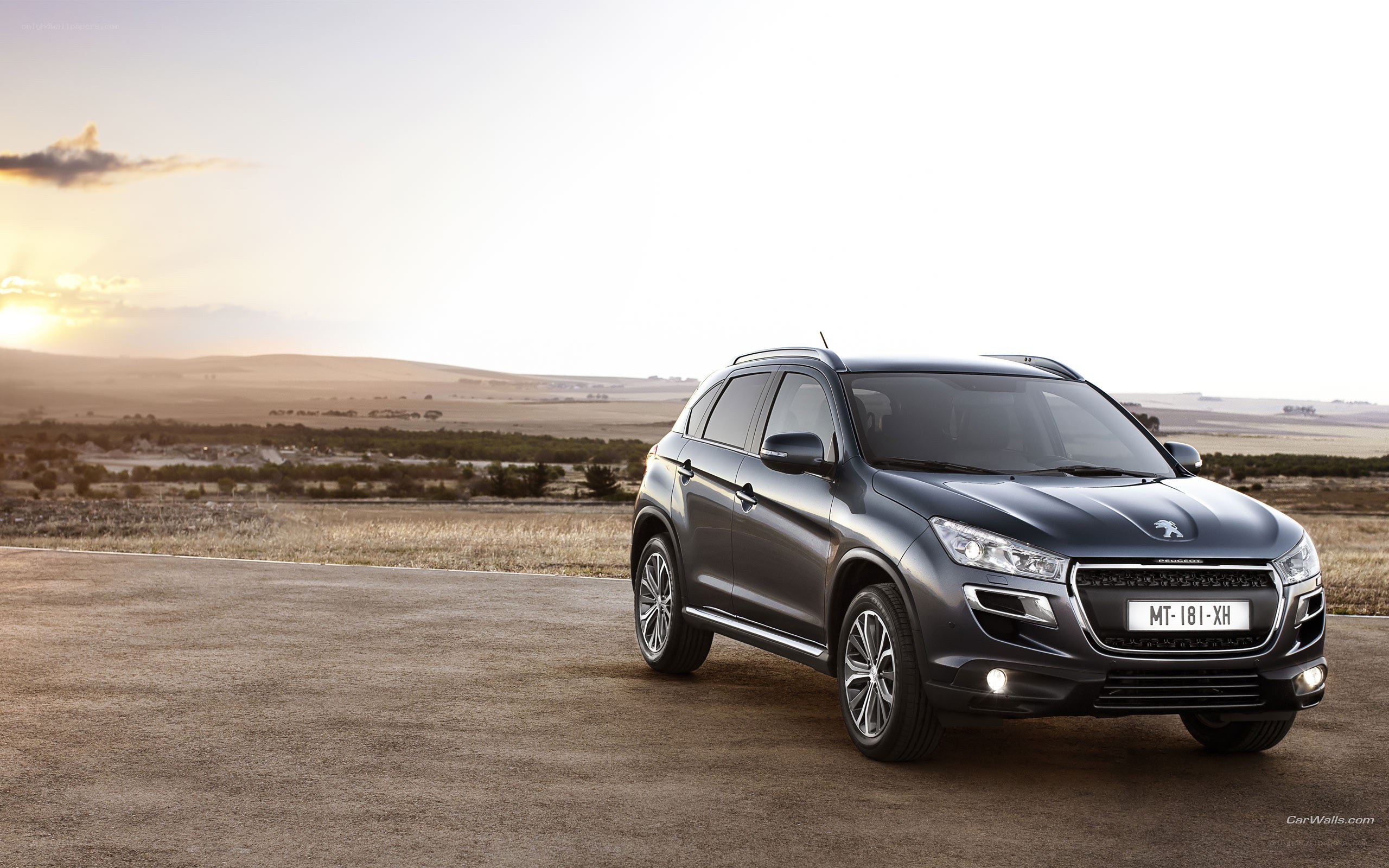 Peugeot SUV on a road