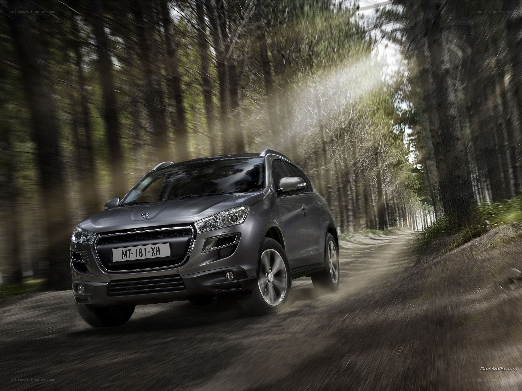 Peugeot SUV on forest road