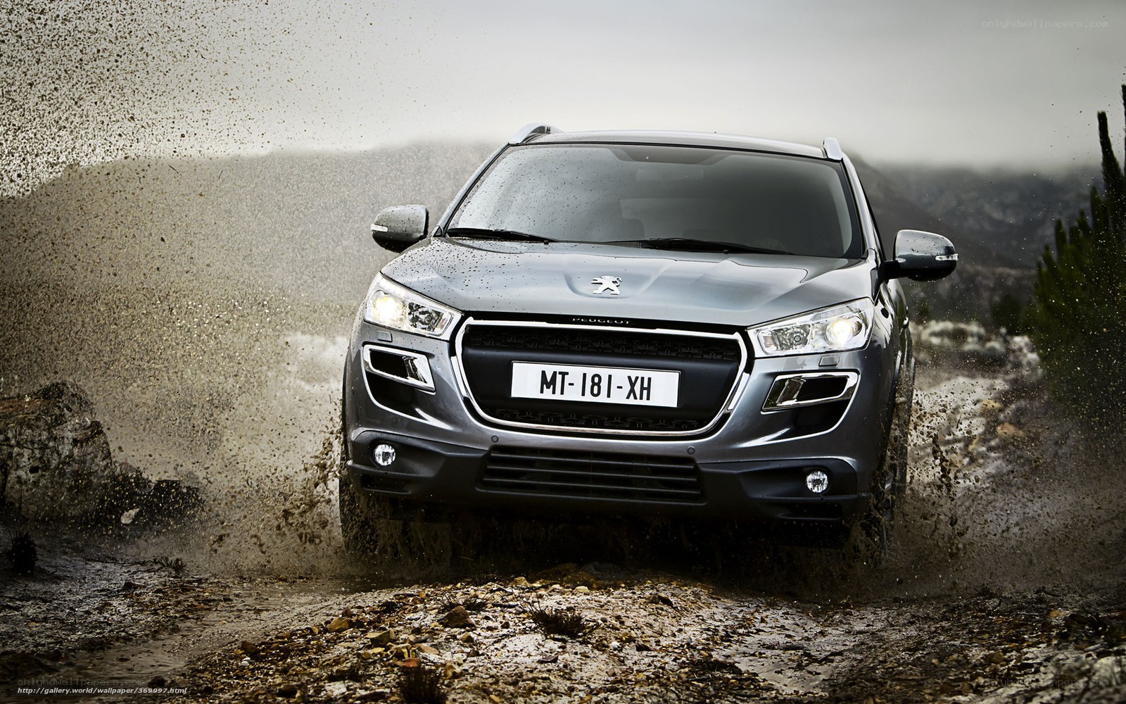 Peugeot SUV on muddy terrain