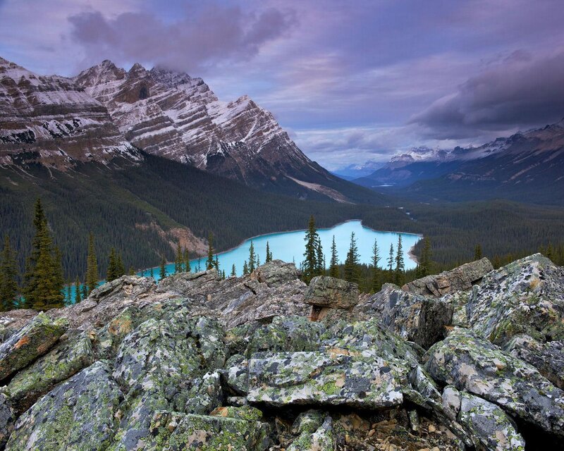 Peyto Lake and Mountains