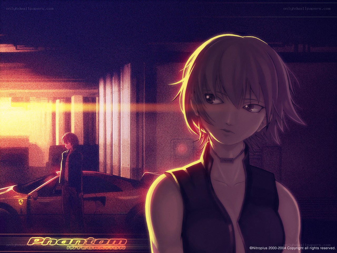 Phantom Integration artwork