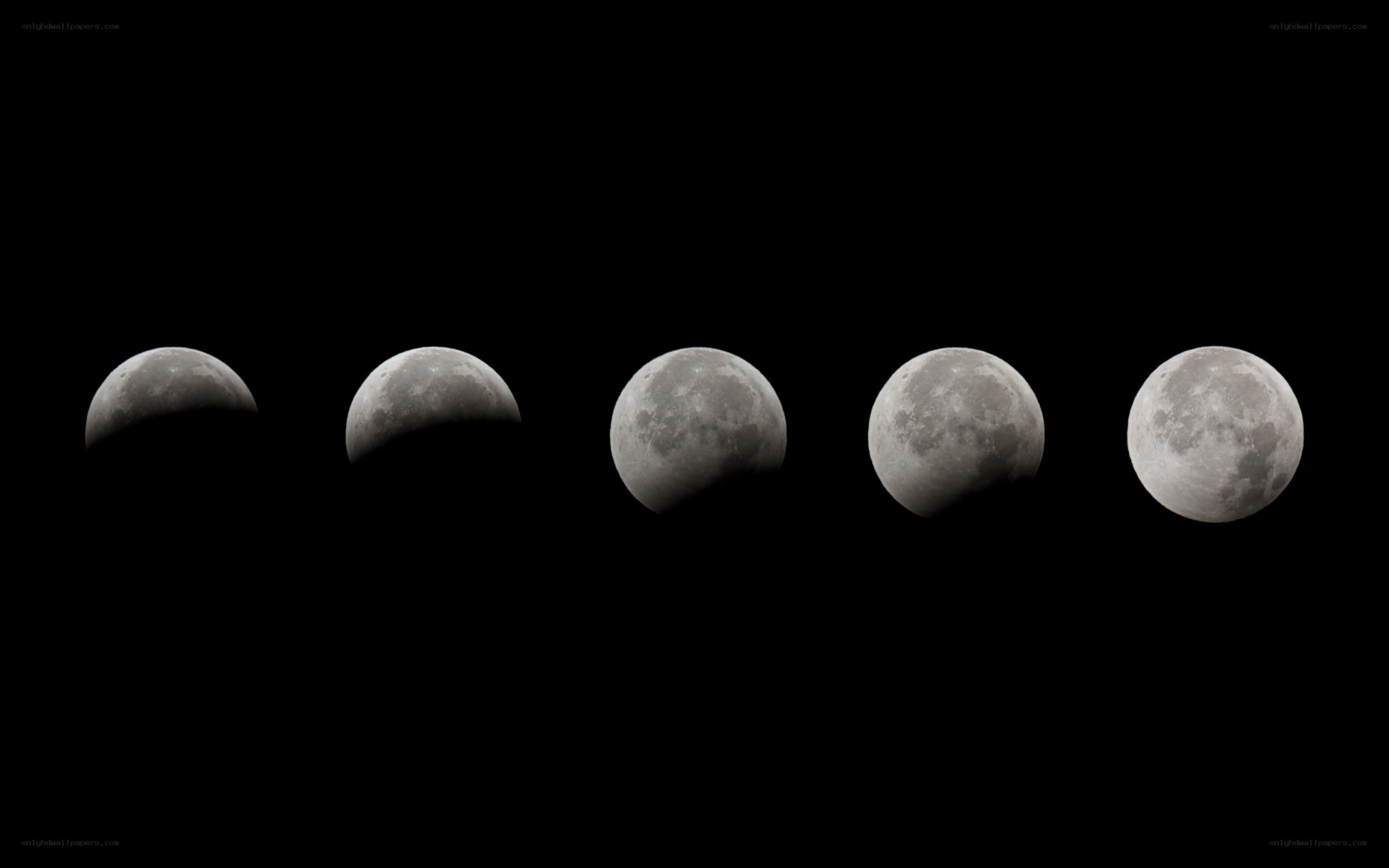 phases of a lunar eclipse