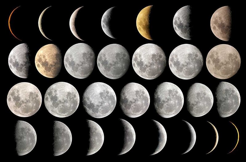 Phases of the Moon