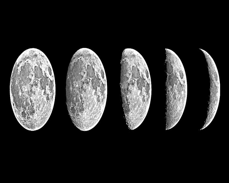 phases of the moon