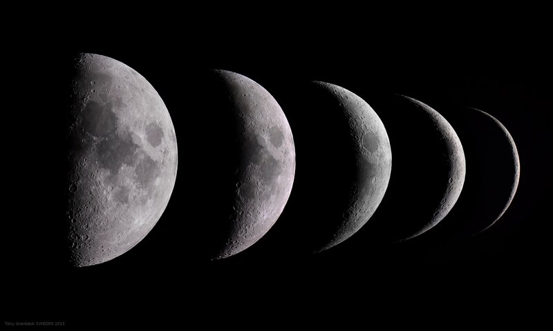 Phases of the Moon — Gray