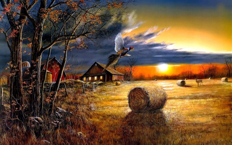Pheasant Flying over Field — Orange, Dramatic