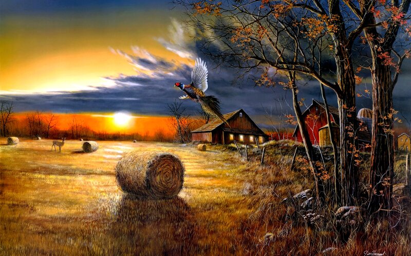 Pheasant Flying over Field — Orange