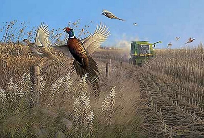Pheasant in Flight — Brown