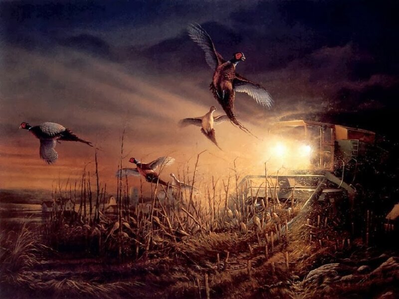 Pheasants Flying at Dusk