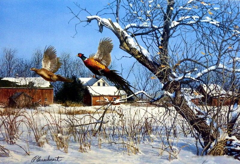 Pheasants Flying in Snow — Blue