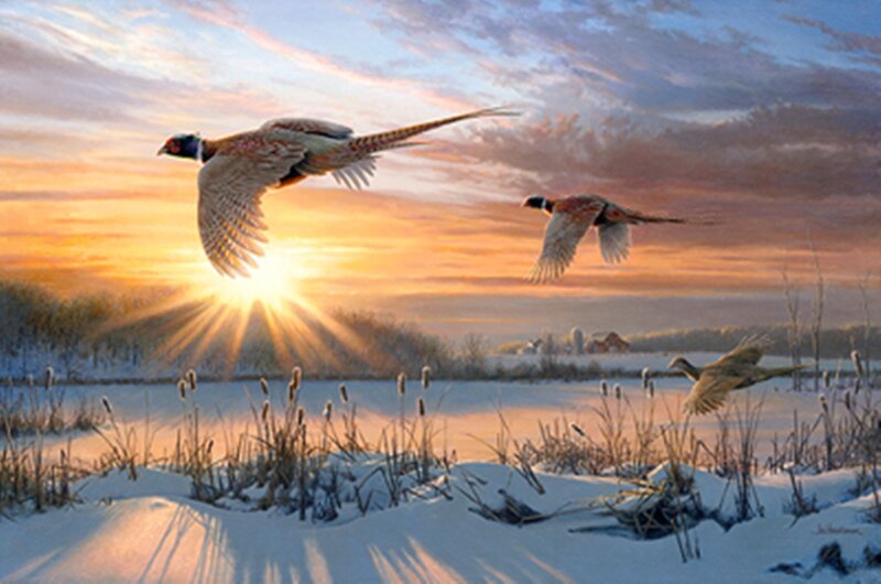Pheasants Flying in Snow