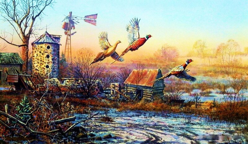 Pheasants Flying over Farm — Blue