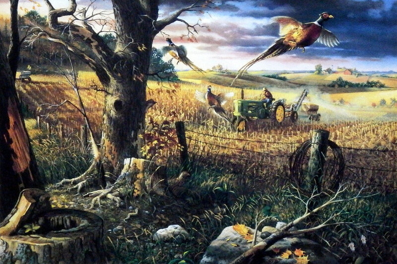 Pheasants Flying over Farm — Brown