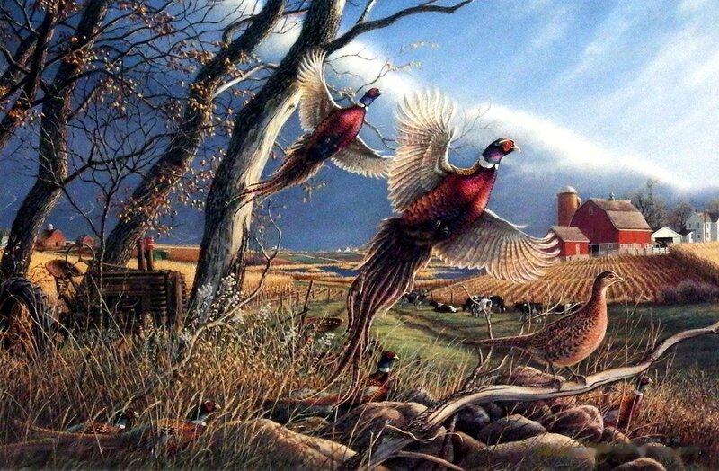 Pheasants in a Field
