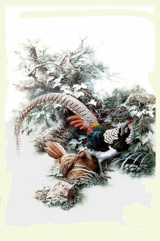 Pheasants in a forest scene