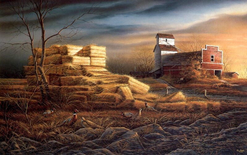Pheasants in Field — Brown, Dramatic
