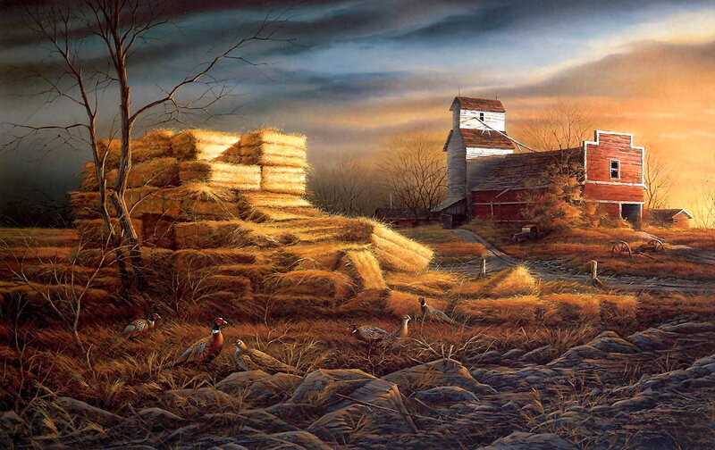 Pheasants in Field — Brown