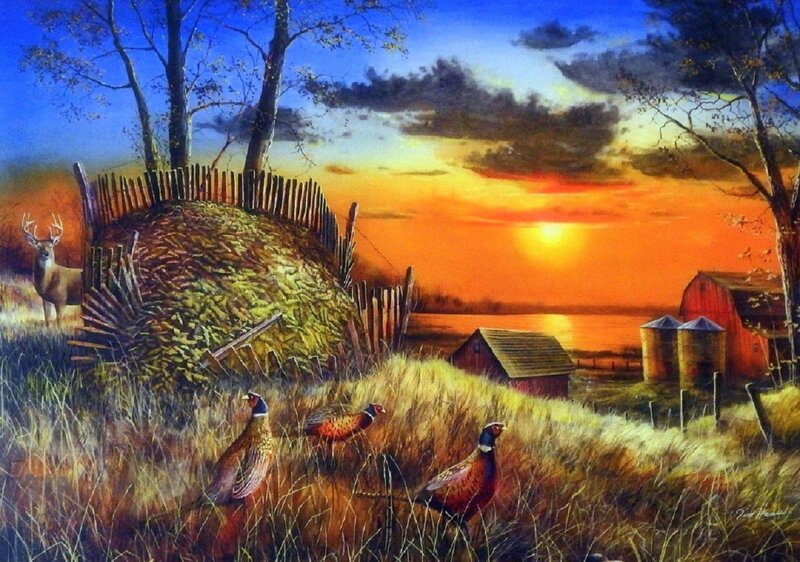 Pheasants in Field — Orange