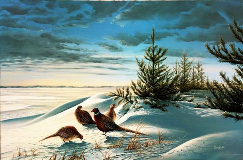 Pheasants in Snow — Blue, Serene