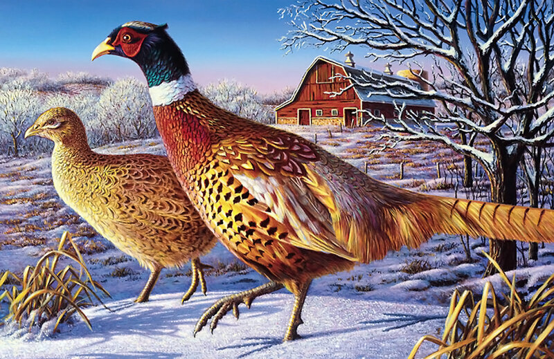 Pheasants in Snow — Brown